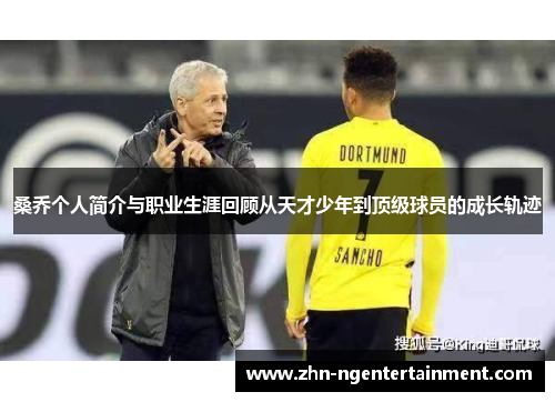 桑乔个人简介与职业生涯回顾从天才少年到顶级球员的成长轨迹