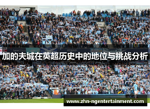 加的夫城在英超历史中的地位与挑战分析