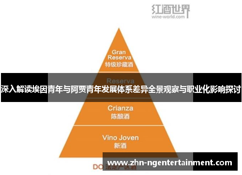 深入解读埃因青年与阿贾青年发展体系差异全景观察与职业化影响探讨
