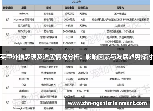 英甲外援表现及适应情况分析：影响因素与发展趋势探讨